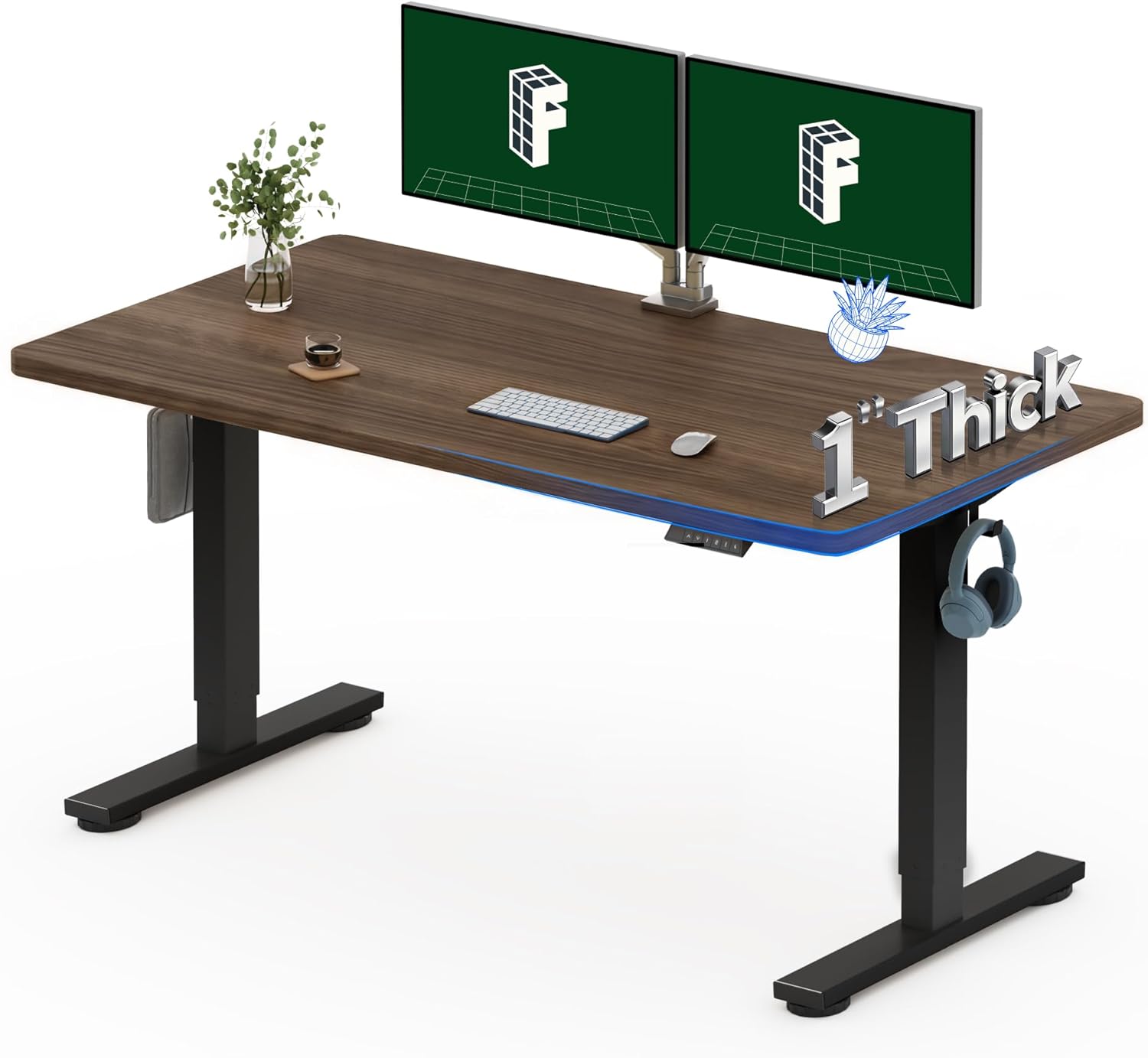 Electric Standing Desk 55