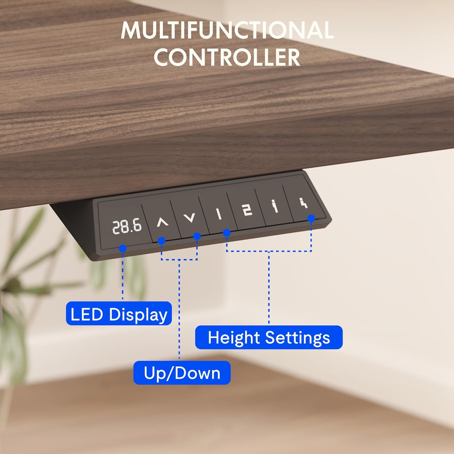 Electric Standing Desk 55